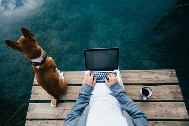 pov shot of remote office worker chill with dog on pier during camping trip or walk in park, workaholic addicted to internet, laptop and social media. office escape to work on personal project