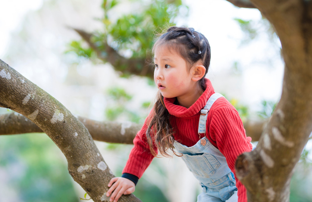 little girl climbing a tree