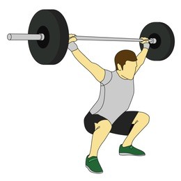muscular man-weightlifter raising the barbell  isolated on white. colored vector illustration isolated on white background.