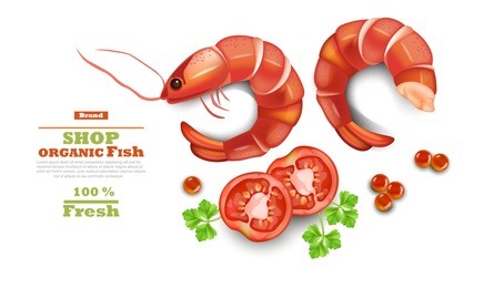 shrimps isolated on white vector realistic. 3d detailed illustration. organic shop templates