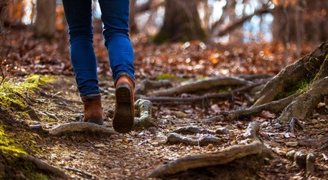 solitary female hiker on a hiking trail in north carolina, view from the ground of legs and boots walking.  