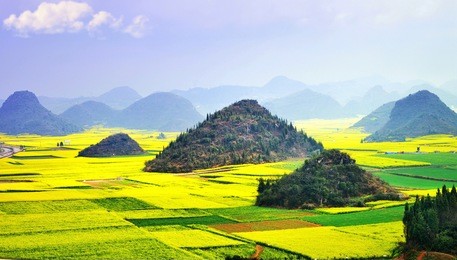 karst landscape and rape flowers - in china's yunnan province