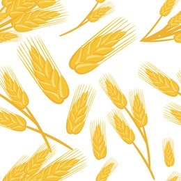 seamless pattern of bunches of wheat ingredient for bread baking organic vegetarian food vector illustration on white background web site page and mobile app design