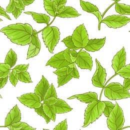 peppermint vector pattern