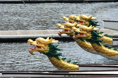 a row of the chinese dragon boats