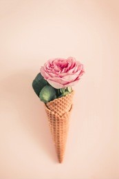 creative minimalism still life on pastel pink colored background. one waffle cone with rose flower and eucaliptus from above. copy space for text