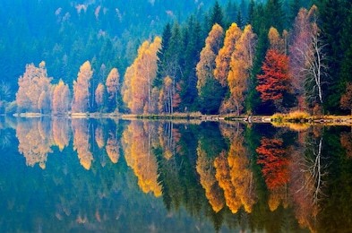 autumn landscape