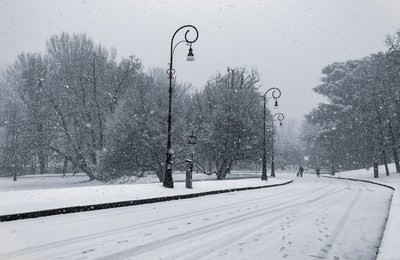 black and white photograph of the valentino public park (turin, piedmont, italy) during a heavy snowfall in winter.