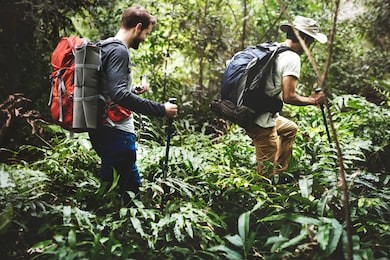 trekking in a forest