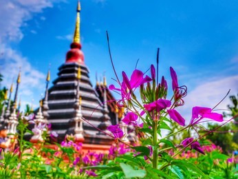 abstract background wat phan tao is a beautiful wooden temple, public area