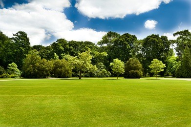 green lawn with some trees and blue sky clouds