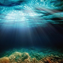 background sand on the beach underwater
