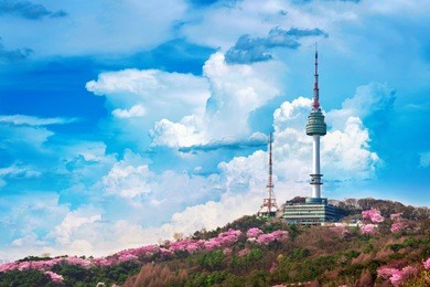 cherry blossom in spring and seoul tower at namsan mountains, seoul in south korea.