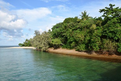 the amazing crystal waters meet the rainforest at green island, a desert island in the great barrier reef, few miles out of cairns, queensland, australia