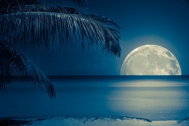 beautiful full moon reflected on the calm water of a tropical beach (toned in blue)