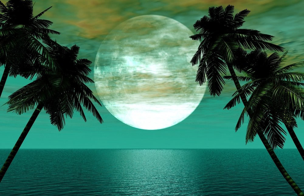 tropical view