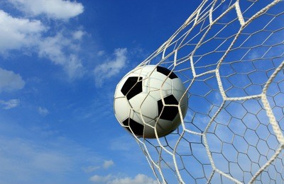  soccer ball in the net.