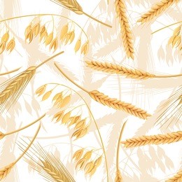 wheat, barley, oat and rye seamless pattern. four cereals spikelets with ears. isolated. 3d icon vector. for design, cooking,