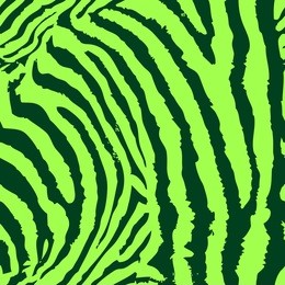 seamless colorful animal skin texture of zebra