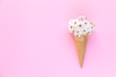 fashion food set of ice cream cone with white flowers on top over a pink background, minimalistic design. top view