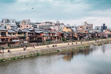 old wooden house with cherry blossom and kamo river at gion street in kyoto, japan
