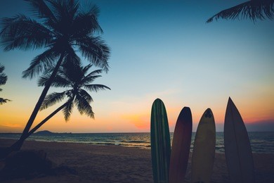 silhouette surfboard on tropical beach at sunset in summer. seascape of summer beach and palm tree at sunset. vintage color tone