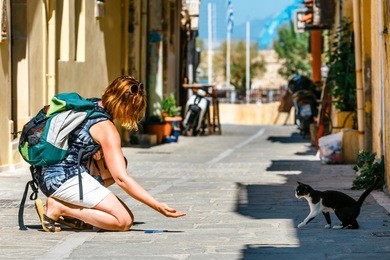 young woman feeds a homeless cat on the street