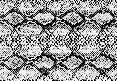 snake skin pattern texture repeating seamless monochrome black and white. vector. texture snake. fashionable print. fashion and stylish background