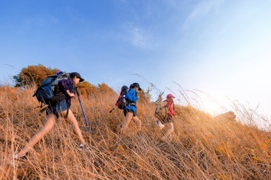 group of young asian woman travel hipster hiking on mountain holiday, wild adventure. background for travel concept .