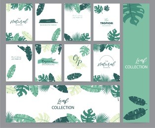 green tropical greeting card with palm, coconut tree and banana leaf
