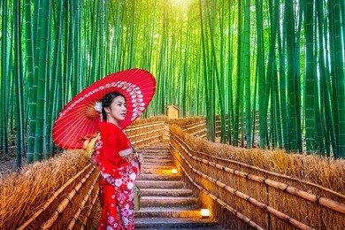 bamboo forest. asian woman wearing japanese traditional kimono at bamboo forest in kyoto, japan.