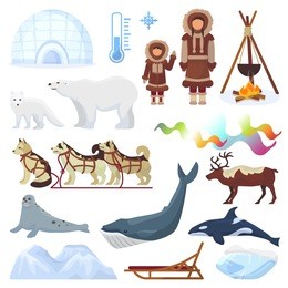 arctic vector northern borealis norway and husky dog sledding sledge to yurta in snowy winter illustration polaris set of north ethnic characters animals and polar bear isolated on white background