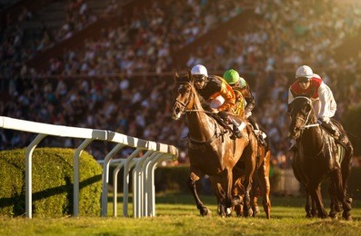 two jockeys during horse races on his horses going towards finish line. traditional european sport.