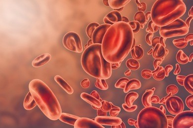 blood cells.3d illustration 