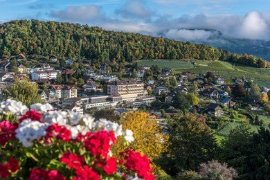 amazing dream like swiss alpine mountain landscape in spiez  of switzerland.