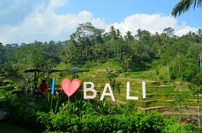  i love bali, rice terraces of tegallalang, bali  indonesia