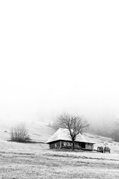 mountain landscape in the fog. house in the mountains. carpathian mountains. the old spooky house on the land of nowhere. wooden house in the middle of the barren land. scenic retro landscape.