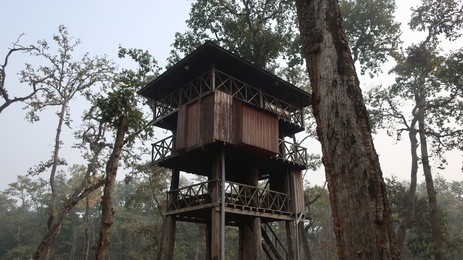 treehouse in chitwan, nepal