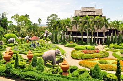 nong nooch garden & resort in chunburee, thailand. green park, green garden.