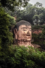 view of the buddha statue head in leshan, china. leshan buddha is the world's largest statue of buddha, whose height is 71 meters.