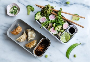 homemade japanese meal / stir fry chasoba with gyoza bento / delicious and healthy for a clean living lifestyle