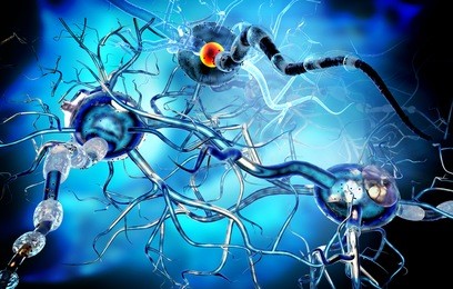 3d illustration of nerve cells, concept for neurological diseases, tumors and brain surgery. 