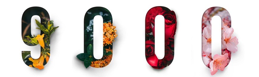flowers number 9, 0 made of real alive flower with precious paper cut shape of number. collection of brilliant flora number for your unique decoration  in spring, summer or several concept ideas