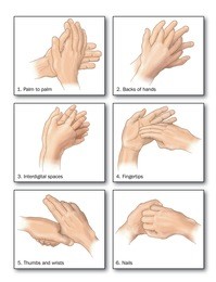 drawing to show the correct methods of hand washing to remove all trace of bacteria