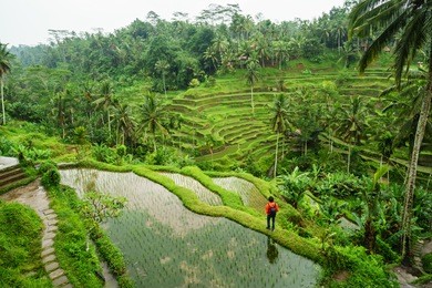 young traveler looking at beautiful tegallalang rice terrace in bali, indonesia