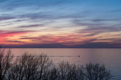 photos of trees in the dunes of lake michigan silhouetted by the sunset.  various processing for different looks.  this shot has a boat on the water crossing the scene.
