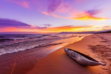 lake malawi sunset in kande beach africa, canoe boat on beach peaceful beach holiday beautiful sunset colors blue purple orange yellow in sky and clouds