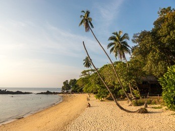 beautiful beach on pulau kapas, malaysia: lonely beach with palm trees on a jungle island