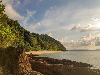 beautiful beach on pulau kapas, malaysia: lonely beach with palm trees on a jungle island