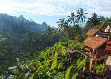 tegallalang rice terraces in ubud is famous for its scenes of rice paddies. there is many restaurant on the spot to having a pleasant dining with gorgeous scenery 